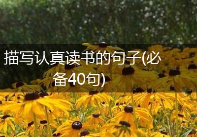描写认真读书的句子(必备40句)