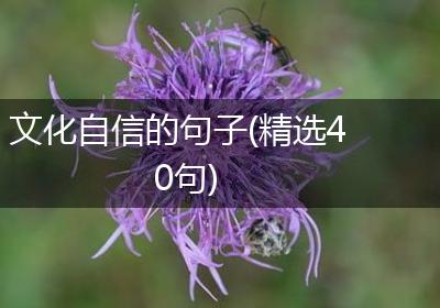 文化自信的句子(精选40句)