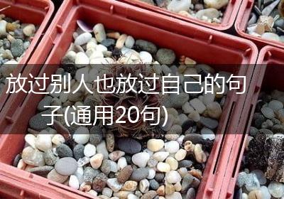 放过别人也放过自己的句子(通用20句)