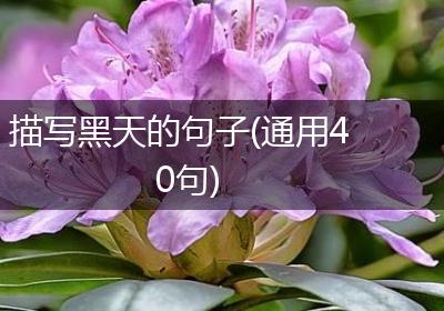 描写黑天的句子(通用40句)