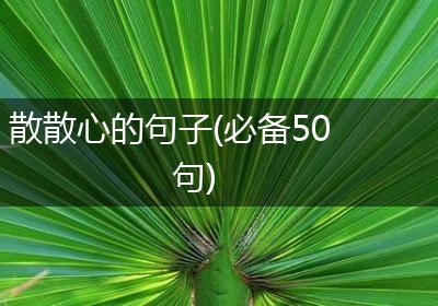 散散心的句子(必备50句)
