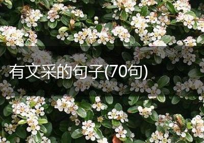 有文采的句子(70句)