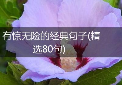 有惊无险的经典句子(精选80句)