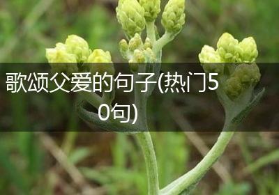 歌颂父爱的句子(热门50句)
