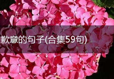歉意的句子(合集59句)