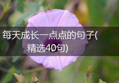 每天成长一点点的句子(精选40句)