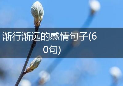 渐行渐远的感情句子(60句)