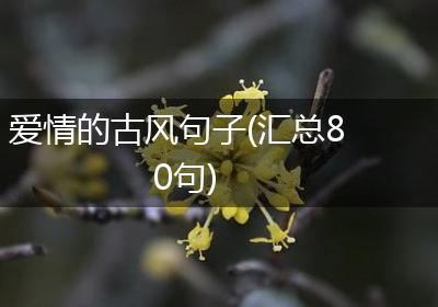 爱情的古风句子(汇总80句)