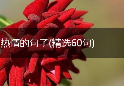 热情的句子(精选60句)