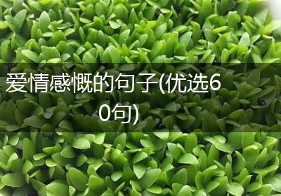 爱情感慨的句子(优选60句)