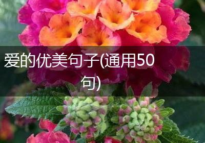 爱的优美句子(通用50句)
