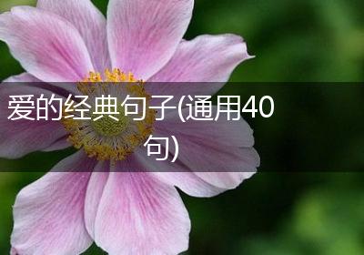 爱的经典句子(通用40句)