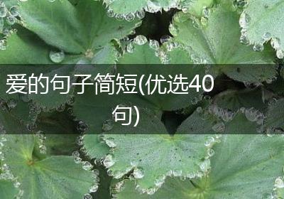 爱的句子简短(优选40句)