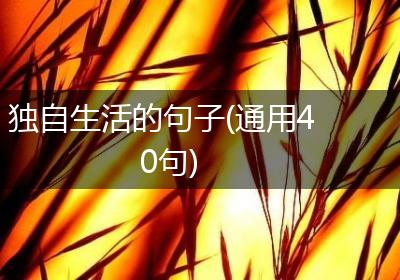 独自生活的句子(通用40句)