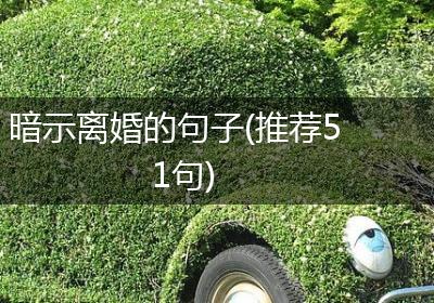 暗示离婚的句子(推荐51句)