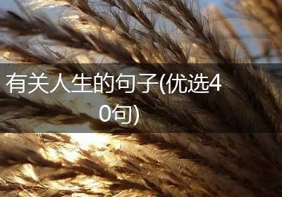 有关人生的句子(优选40句)