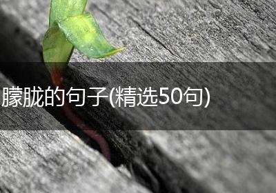 朦胧的句子(精选50句)
