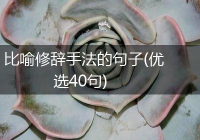 比喻修辞手法的句子(优选40句)