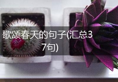 歌颂春天的句子(汇总37句)
