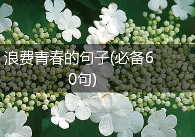 浪费青春的句子(必备60句)