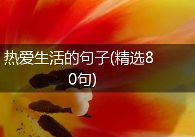 热爱生活的句子(精选80句)