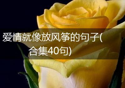 爱情就像放风筝的句子(合集40句)