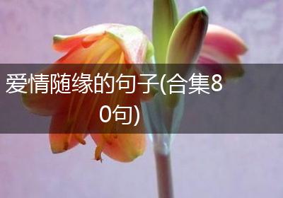 爱情随缘的句子(合集80句)