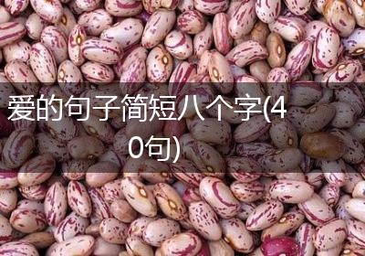 爱的句子简短八个字(40句)