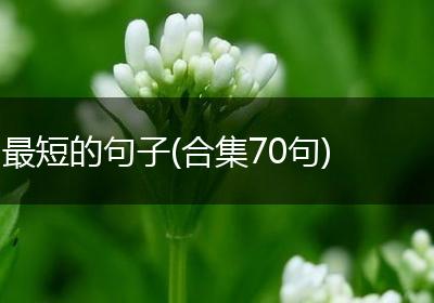 最短的句子(合集70句)