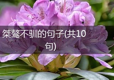 桀骜不驯的句子(共10句)