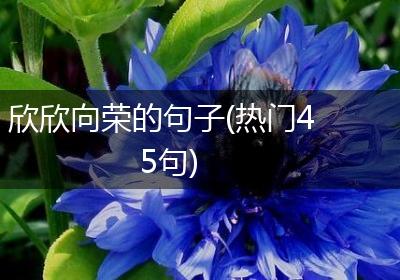 欣欣向荣的句子(热门45句)