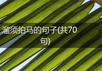 溜须拍马的句子(共70句)