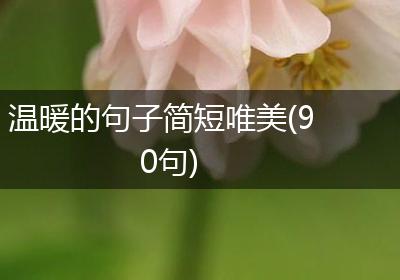 温暖的句子简短唯美(90句)