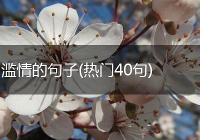 滥情的句子(热门40句)