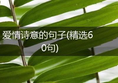 爱情诗意的句子(精选60句)