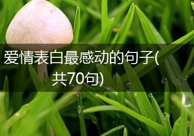 爱情表白最感动的句子(共70句)