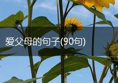 爱父母的句子(90句)