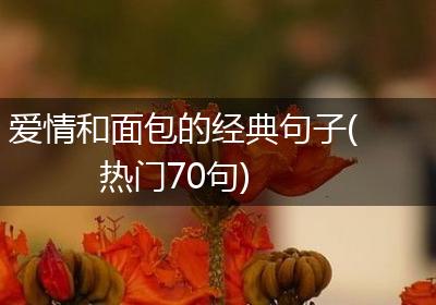爱情和面包的经典句子(热门70句)
