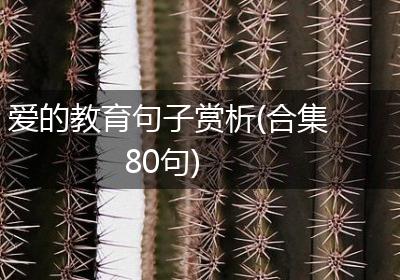 爱的教育句子赏析(合集80句)