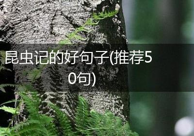 昆虫记的好句子(推荐50句)