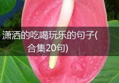 潇洒的吃喝玩乐的句子(合集20句)