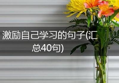 激励自己学习的句子(汇总40句)