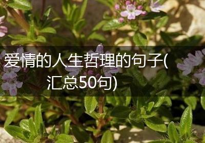 爱情的人生哲理的句子(汇总50句)