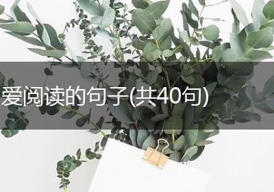 爱阅读的句子(共40句)