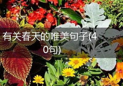 有关春天的唯美句子(40句)