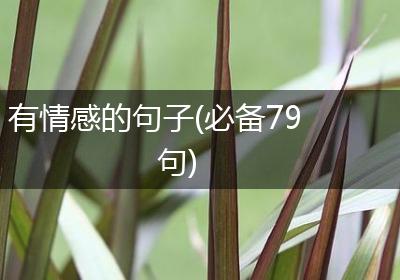 有情感的句子(必备79句)