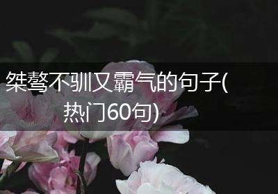 桀骜不驯又霸气的句子(热门60句)