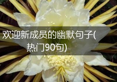 欢迎新成员的幽默句子(热门90句)