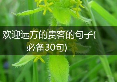 欢迎远方的贵客的句子(必备30句)