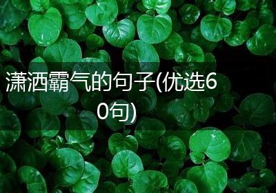 潇洒霸气的句子(优选60句)